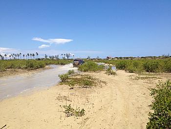 Click image for larger version

Name:	Tidal mangrove track.jpg
Views:	538
Size:	293.9 KB
ID:	1259017